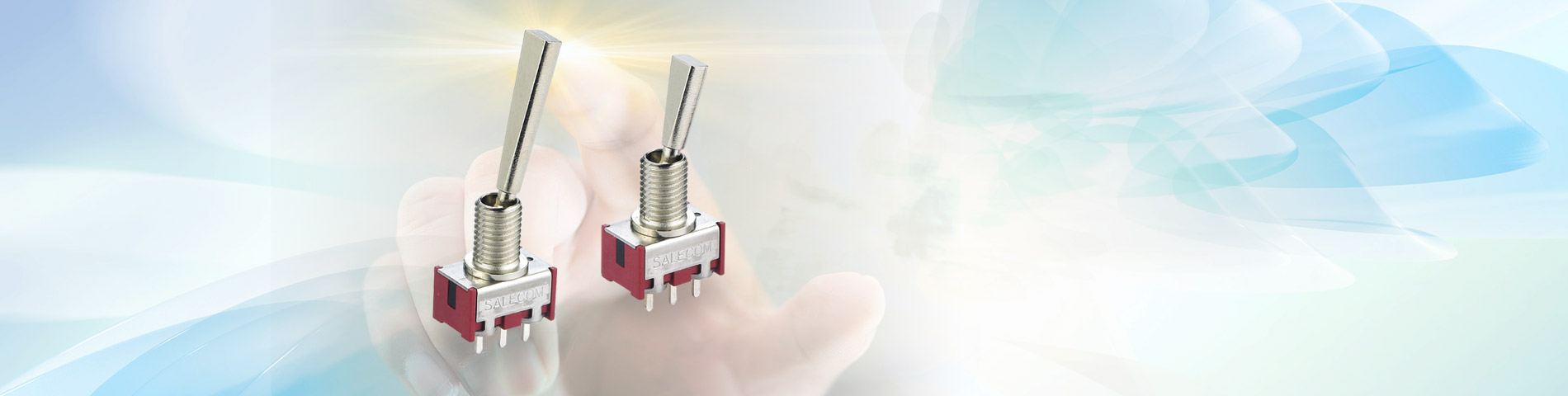 Professionnel avec    Grandes expériences